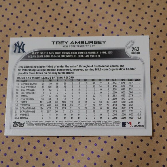 Trey Amburgey #263 Baseball Card - Picture 2 of 2